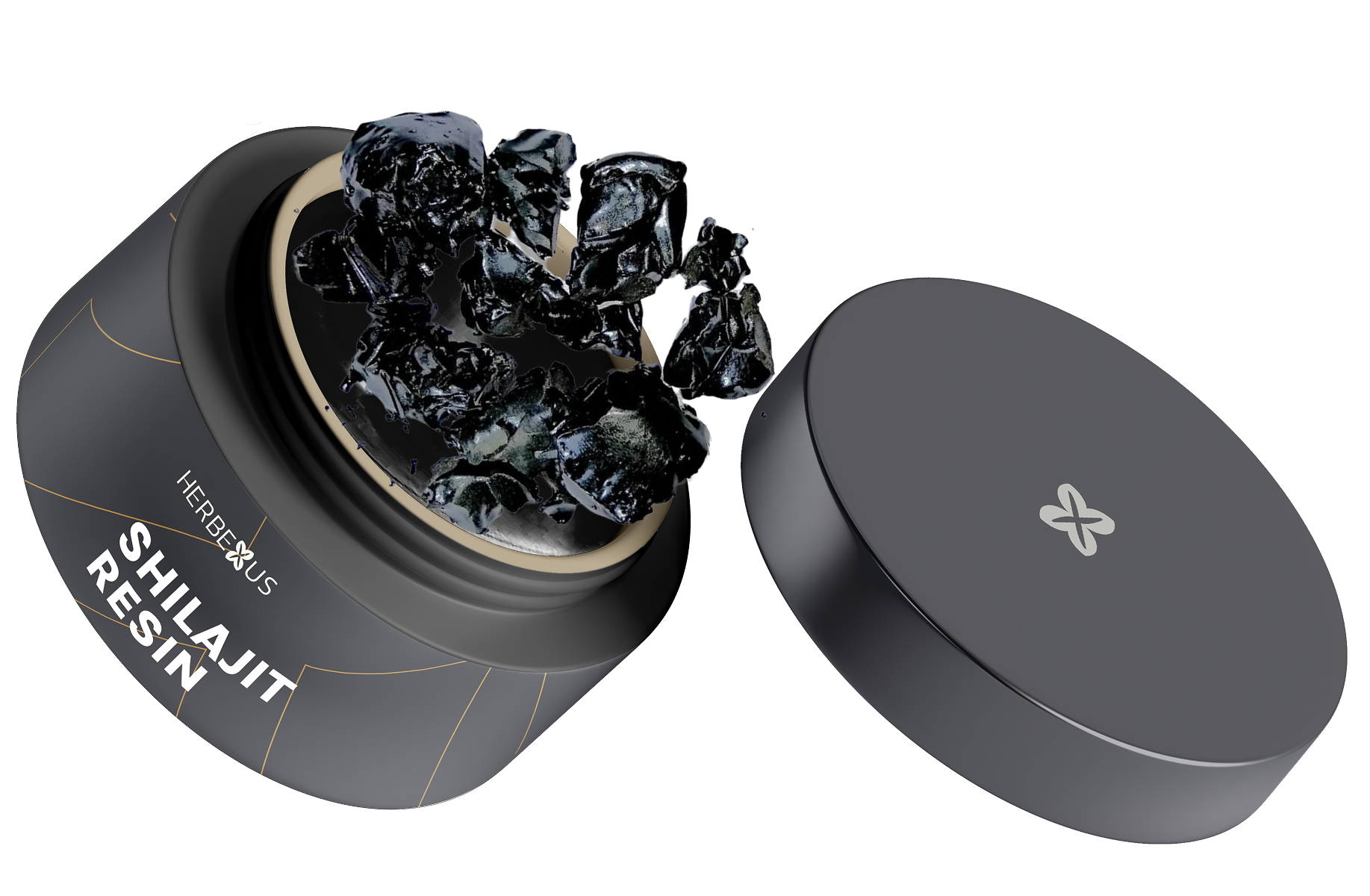 Himalayan Shilajit