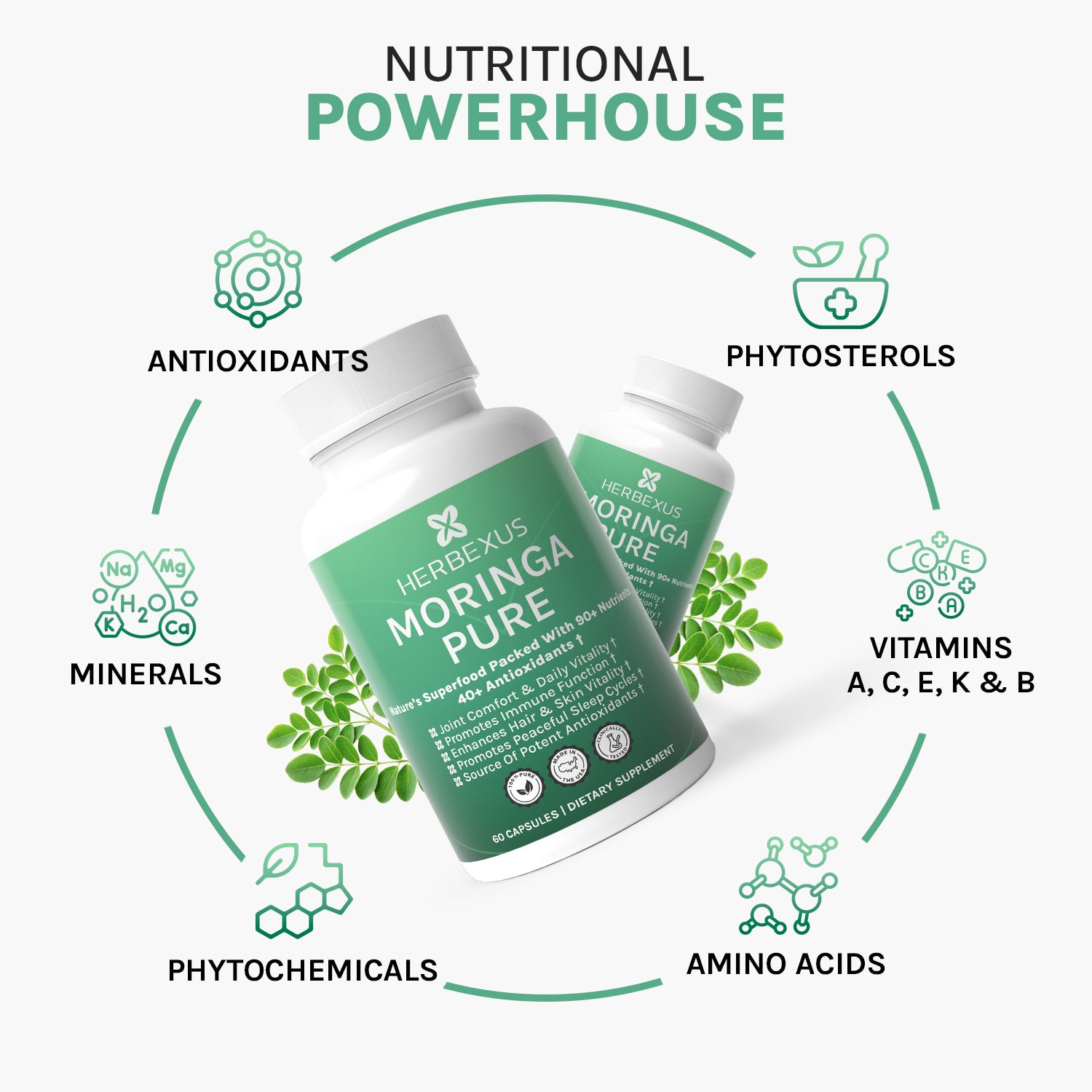 Moringa Pure Capsules